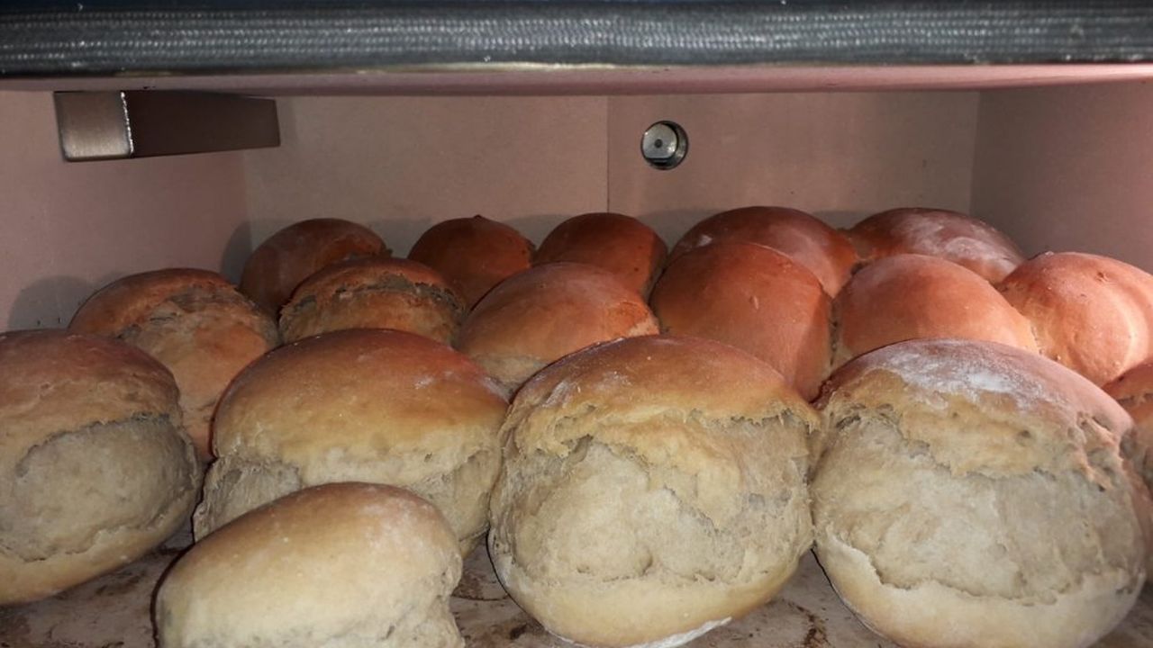 Ramsteinerhof Brot backen Ramsteinerhof Brot backen